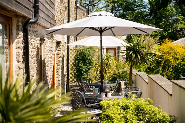 Walled terrace with seating and parasols surrounded with potted palms.